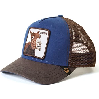 kepsar-curva-bla-snapback-the-farm-av-goorin-bros