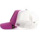 kepsar-curva-rosa-snapback-the-farm-av-goorin-bros