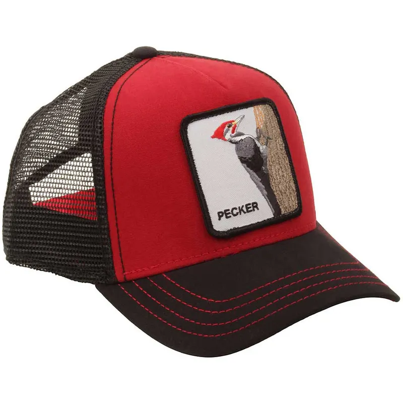kepsar-curva-rod-snapback-the-farm-av-goorin-bros