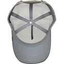 kepsar-curva-gra-snapback-the-farm-av-goorin-bros