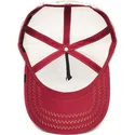 kepsar-curva-rod-snapback-the-farm-av-goorin-bros