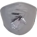 masker-och-skydd-gra-fran-mascarilla-reutilizable-gris-unicornio-living-legend-the-farm-av-goorin-bros