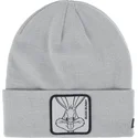 mossor-gra-bugs-bunny-looney-tunes-av-capslab