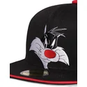 svart-platt-snapback-keps-silvestre-space-jam-looney-tunes-fran-difuzed