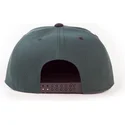kepsar-plana-gron-snapback-av-difuzed