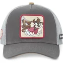 gra-truckerkeps-tasmanian-devil-loo5-taz1-looney-tunes-fran-capslab