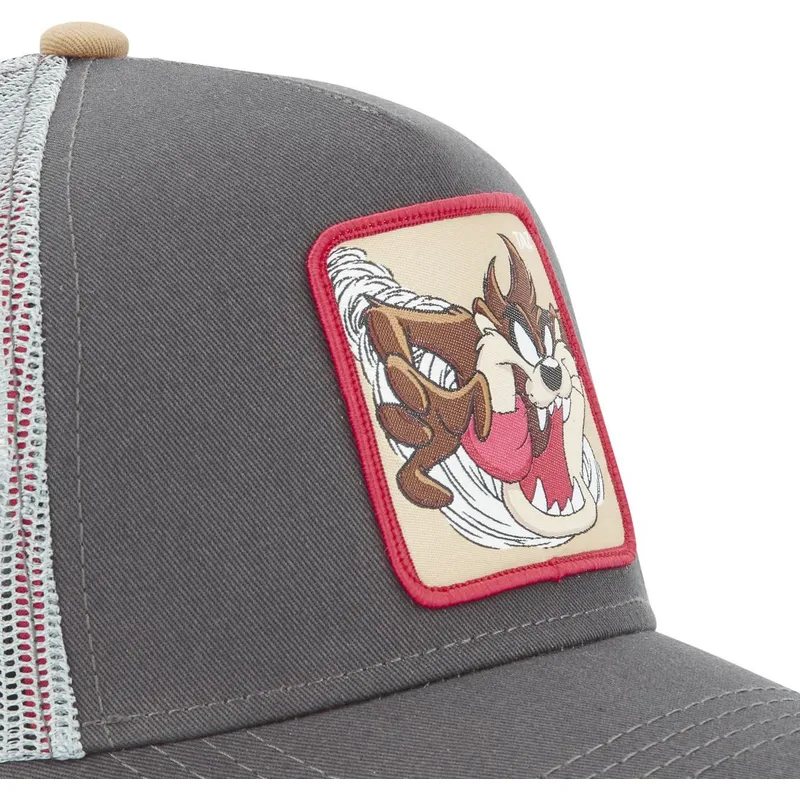 kepsar-curva-gra-snapback-diablo-diablo-de-tasmania-looney-tunes-av-capslab kepsar-curva-gra-snapback-diablo-diablo-de-tasmania-looney-tunes-av-capslab