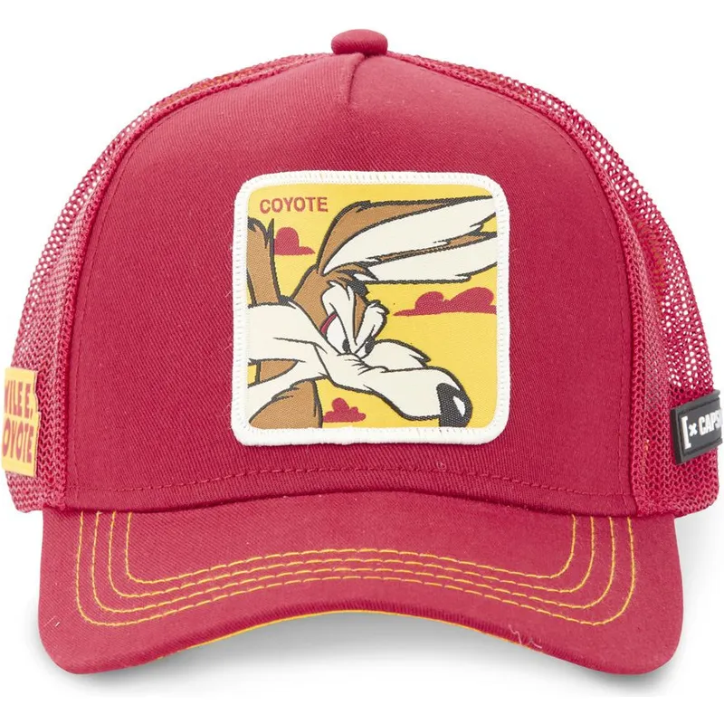kepsar-curva-rod-snapback-coyote-looney-tunes-av-capslab
