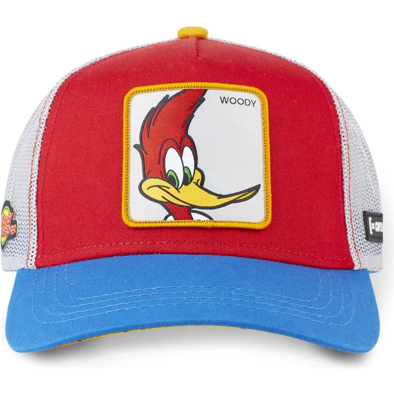 kepsar-curva-rod-snapback-pajaro-loco-av-capslab