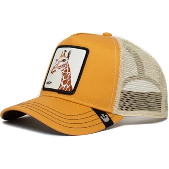 kepsar-curva-gul-snapback-the-farm-av-goorin-bros