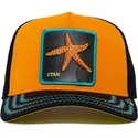 truckerkeps-orange-och-svart-sjostjarna-baby-i-m-a-star-the-farm-fran-goorin-bros