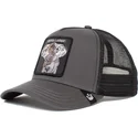 kepsar-curva-gra-snapback-the-farm-av-goorin-bros