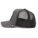 kepsar-curva-gra-snapback-the-farm-av-goorin-bros
