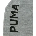 mossor-gra-av-puma