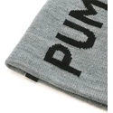 mossor-gra-av-puma