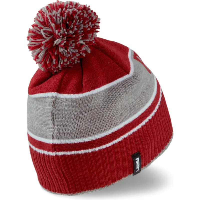 mossor-pompong-rod-av-puma
