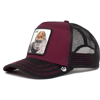 kepsar-curva-rod-snapback-the-farm-av-goorin-bros