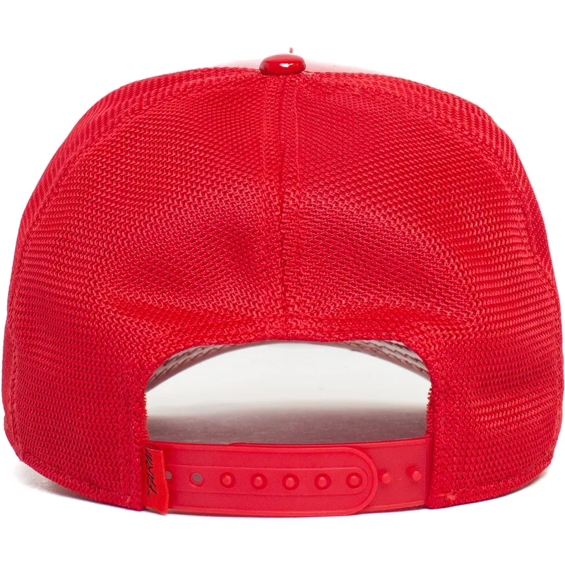 kepsar-curva-rod-snapback-the-farm-av-goorin-bros