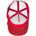 kepsar-curva-rod-snapback-the-farm-av-goorin-bros