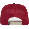 kepsar-curva-rod-snapback-the-farm-av-goorin-bros
