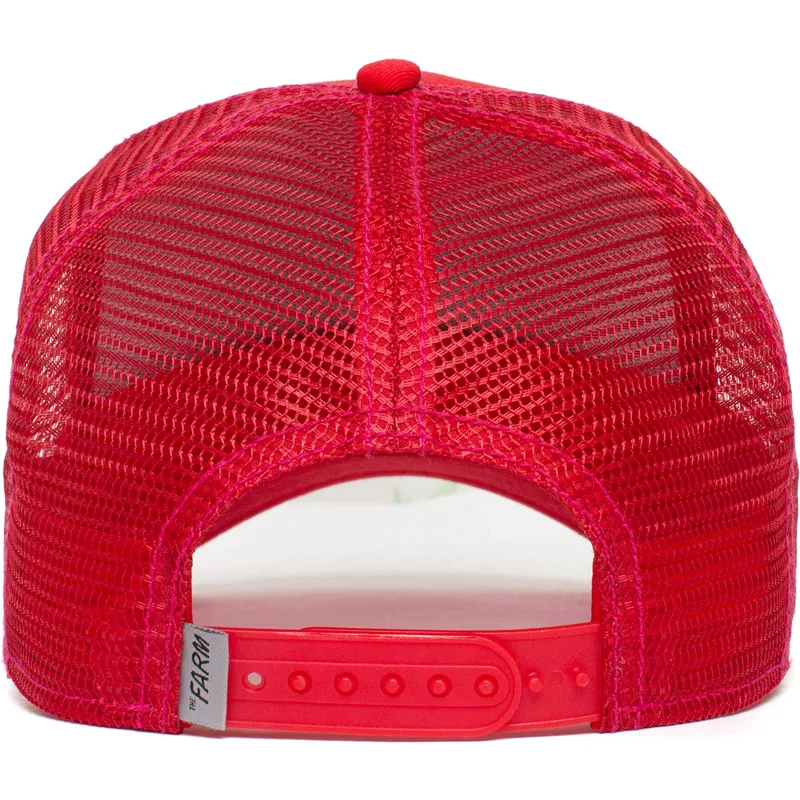 kepsar-curva-rod-snapback-the-farm-av-goorin-bros
