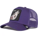 kepsar-curva-violett-snapback-the-farm-av-goorin-bros