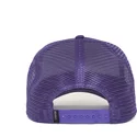 kepsar-curva-violett-snapback-the-farm-av-goorin-bros