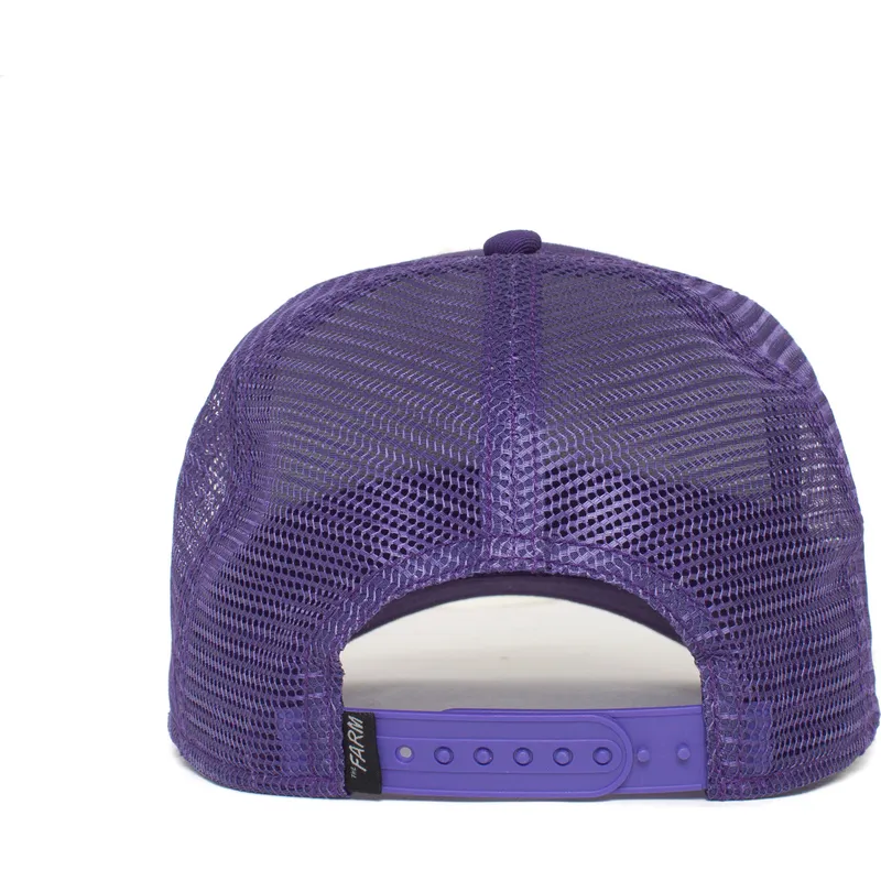 kepsar-curva-violett-snapback-the-farm-av-goorin-bros