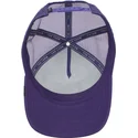 kepsar-curva-violett-snapback-the-farm-av-goorin-bros
