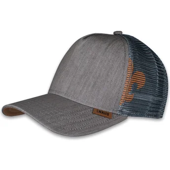Kepsar böjd grå snapback HFT Linen 2014 av Djinns