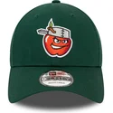 justerbar-gron-bojd-keps-9forty-minor-league-fort-wayne-tincaps-milb-fran-new-era