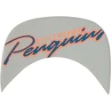 vit-platt-pittsburgh-penguins-nhl-snapback-keps-fran-47-brand