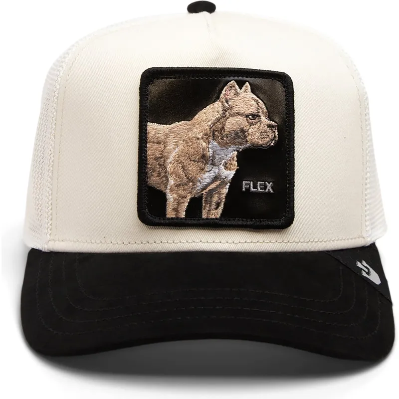kepsar-curva-beige-snapback-the-farm-av-goorin-bros