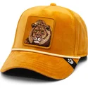 gul-bojd-snapback-keps-lejon-lion-royalty-the-farm-fran-goorin-bros