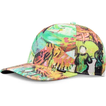 Flerfärgad böjd snapback TrueFit Painting från Djinns