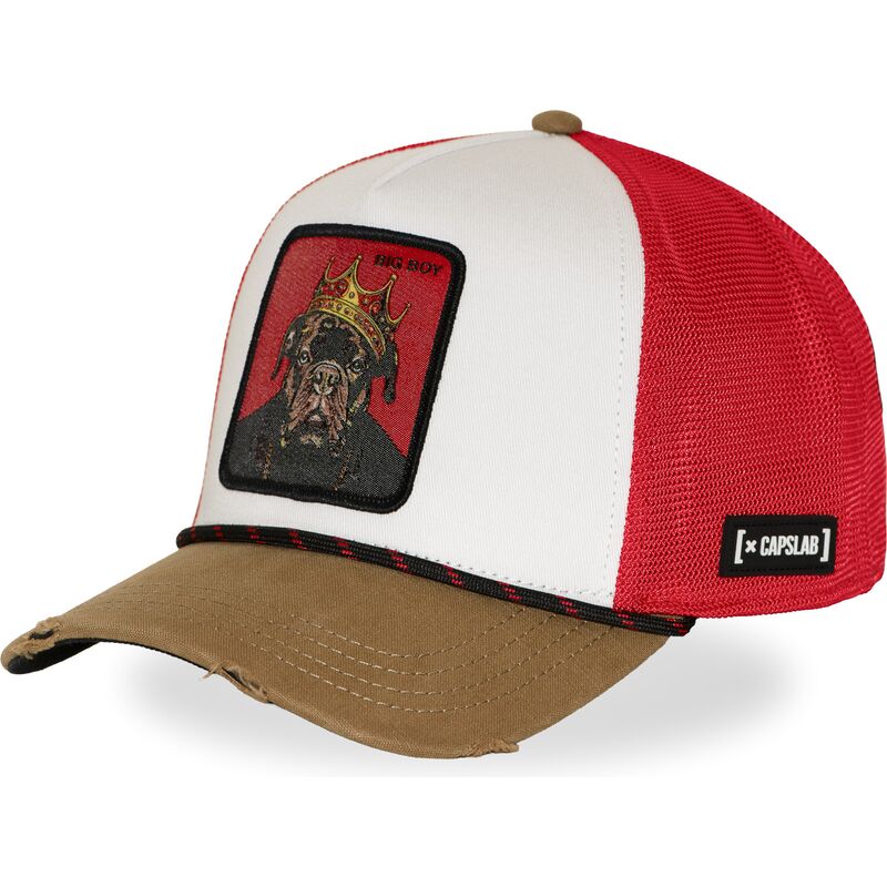 flerfargad-trucker-keps-big-boy-hip-bigb-hip-hop-dogz-fran-capslab
