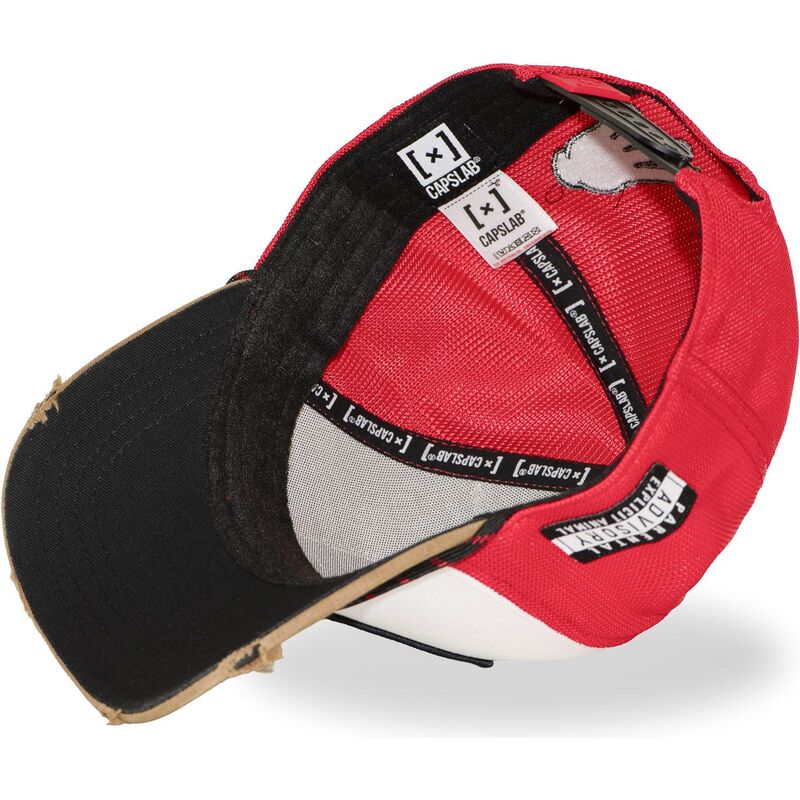 flerfargad-trucker-keps-big-boy-hip-bigb-hip-hop-dogz-fran-capslab