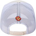 kepsar-bojd-beige-snapback-tokyo-geisha-av-ed-hardy