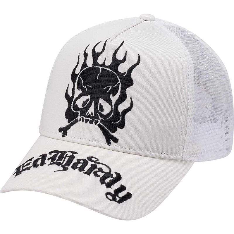 kepsar-bojd-vit-snapback-gothic-skull-in-flames-av-ed-hardy