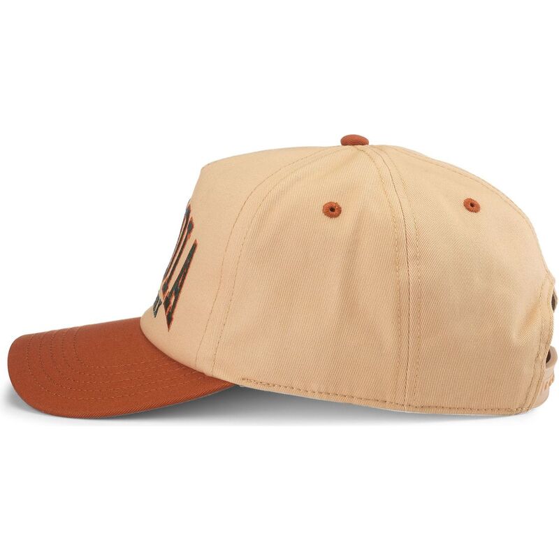 kepsar-bojd-brun-snapback-roscoe-fran-sequoia-national-park-av-american-needle