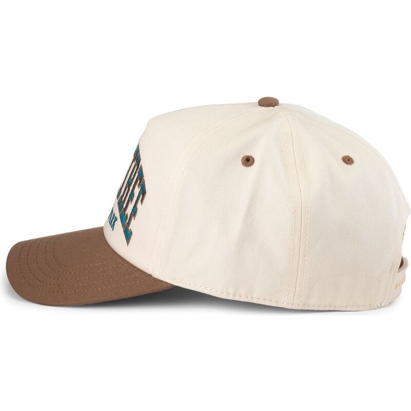 kepsar-bojd-brun-snapback-roscoe-fran-joshua-tree-national-park-av-american-needle