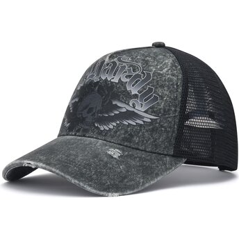 Kepsar böjd grå snapback Flaming Gothic Skull Washed av Ed Hardy