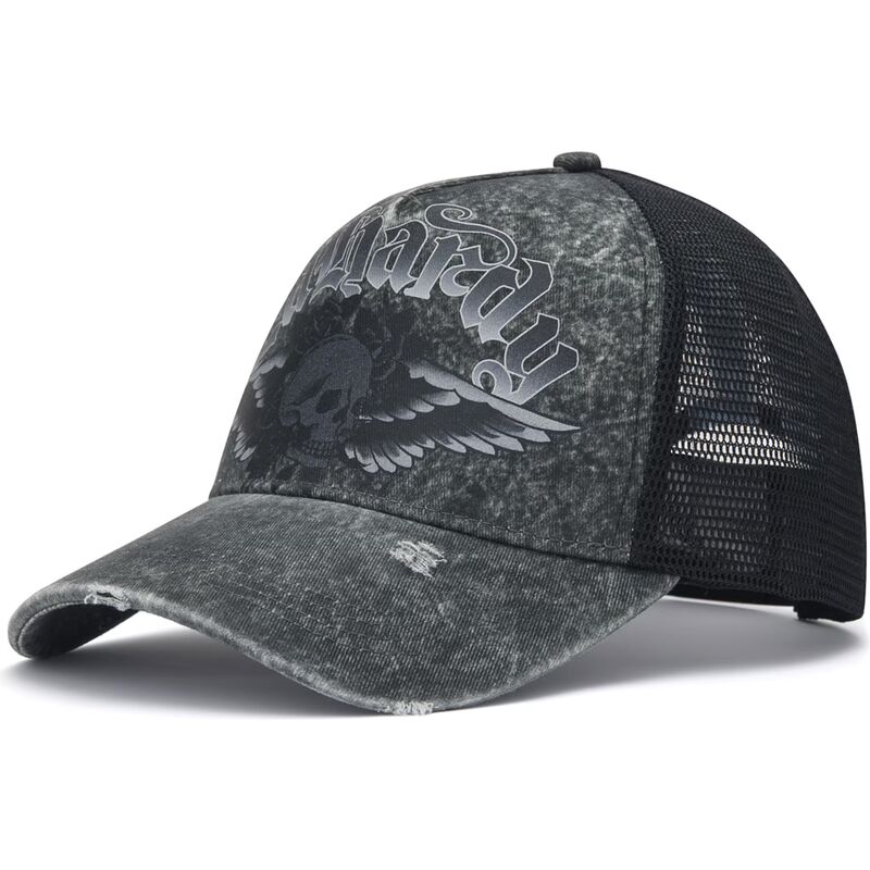 kepsar-bojd-gra-snapback-flaming-gothic-skull-washed-av-ed-hardy