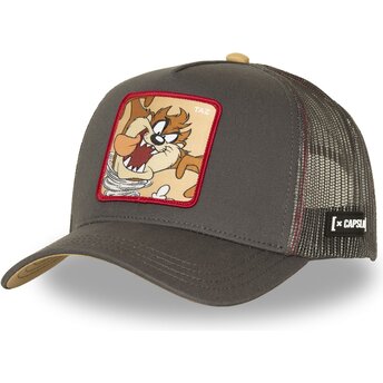 Kepsar böjd brun snapback Tasmanska djävulen Looney Tunes av Capslab
