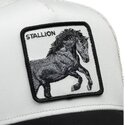 kepsar-bojd-vit-snapback-digital-stallion-split-decision-the-farm-goorin-bros