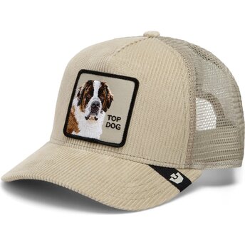 Kepsar böjd beige snapback Corduroy Top Dog Ridgeline The Farm Goorin Bros.