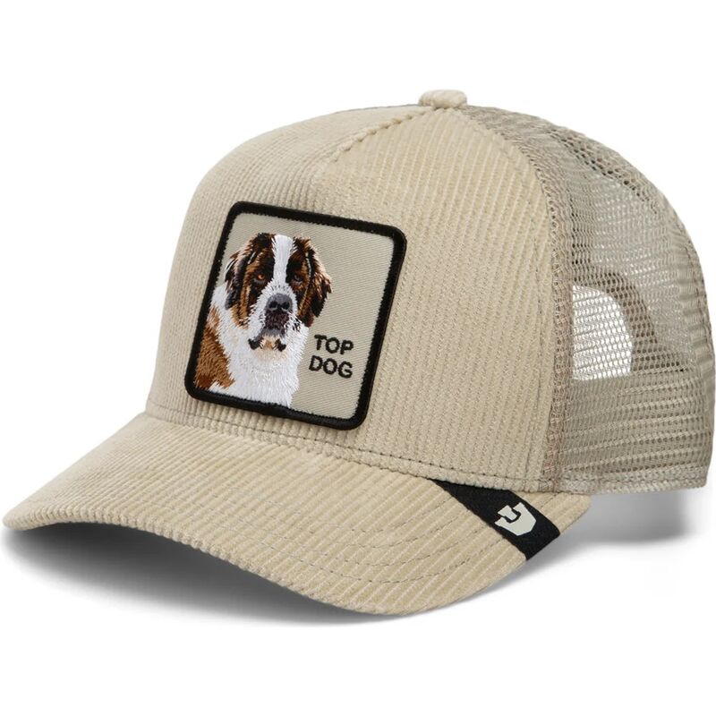 kepsar-bojd-beige-snapback-corduroy-top-dog-ridgeline-the-farm-goorin-bros