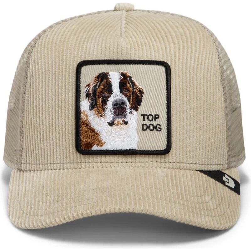 kepsar-bojd-beige-snapback-corduroy-top-dog-ridgeline-the-farm-goorin-bros
