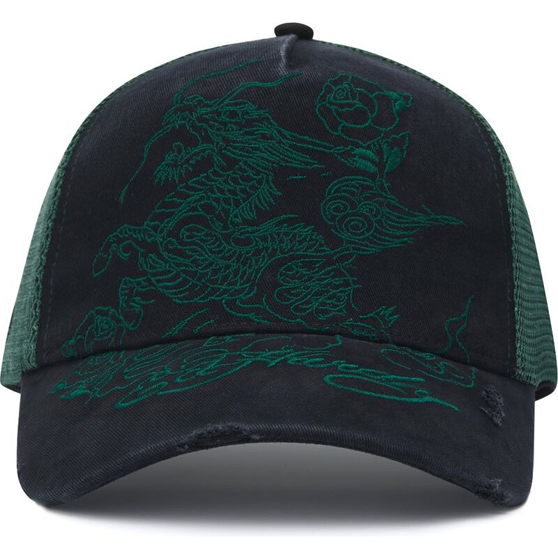 kepsar-bojd-svart-snapback-outline-distressed-av-ed-hardy kepsar-bojd-svart-snapback-outline-distressed-av-ed-hardy