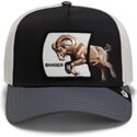 kepsar-bojd-flerfargad-snapback-banger-migration-the-farm-goorin-bros